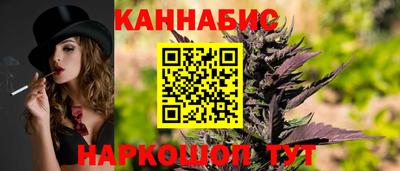 дмт Дубна