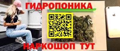 дмт Дубна