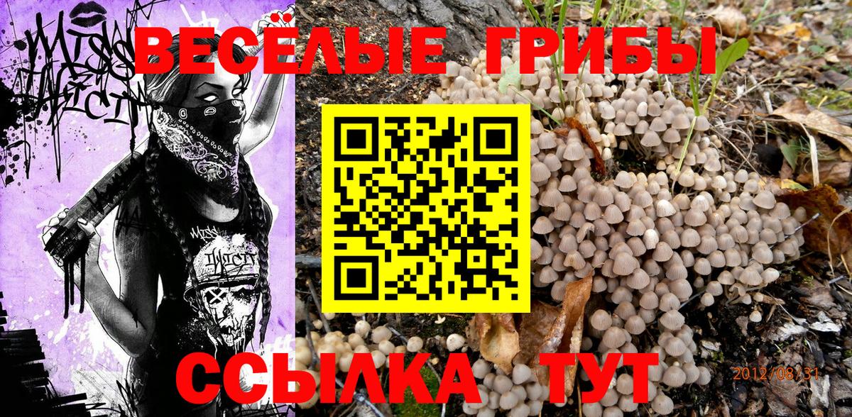 Междуреченск  Псилоцибиновые грибы ЛСД  Вход с VPN 